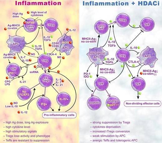 Figure 3. Effects of inflammatory and/or immune stimuli on T-cell activation and their modulation by HDACi. (Left panel) How multiple mechanisms promote Teff cell resistance to Treg suppression, impair Treg function, and inhibit the development of iTregs. Intervention points for HDACi, as identified from the current literature, are indicated in red balls (inhibition) and green balls (stimulation). (Right panel) Mechanisms by which HDACi can promote resolution of inflammation, including through modulation of T-cell activation and enhancement of Treg suppressive functions.