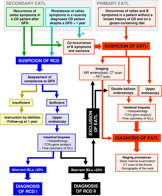Figure 2. Proposed diagnostic algorithm in EATL. The recurrence of celiac symptoms in a patient with CD under GFD, or the persistence of celiac symptoms in a recently diagnosed CD patient despite a GFD followed for more than 12 months, should raise the suspicion of RCD. In that case, the compliance to GFD should be ascertained, and, if sufficient, patients should undergo upper endoscopy with collection of duodenal biopsies. A rate of more than 20% of aberrant IELs, assessed by flow cytometric analysis of freshly isolated cells, points toward a diagnosis of RCD2. In that case, EATL should be excluded through both imaging (either MR enteroclysis or CT scan together with PET scan) and double-balloon endoscopy with collection of small bowel biopsies. The occurrence of celiac and B symptoms (fever of no evident cause, night sweats, and weight loss of > 10% of body weight) in a patient without a known history of CD and on gluten-containing diet (primary EATL) or the co-occurrence of B symptoms and cachexia in the 2 aforementioned patient subsets suspected to be refractory (secondary EATL) should raise the suspicion of EATL. In that case, patients should undergo both upper endoscopy and double-balloon enteroscopy with collection of small bowel biopsies and imaging procedures (either MR enteroclysis or CT scan together with PET scan). In the case of EATL confirmation, a staging should be performed through bone marrow examination, CT scan of the thorax, and sonography of the neck.