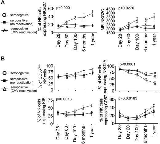 Figure 3. CMV reactivation induces an increase of NKG2C+ NK cells and a more mature NK-cell phenotype in the first year after transplantation. NKG2C expression (left panel), mean fluorescence intensity (MFI, right panel, A), CD56dim expression (B, left top panel), NKG2A expression (B, right top panel), and KIR expression based on a cocktail of Abs against CD158a/h, CD158b/j, and CD158e (B, left bottom panel) and CD57 expression (B, right bottom panel) were measured on CD56+ CD3− NK cells from seronegative (○, n = 10), seropositive (no CMV reactivation; ■, n = 5) and seropositive (CMV reactivation; ▵, n = 8) recipients at day 28, day 60, day 100, 6 months, and 1 year after transplantation. Points represent the means ± SEM. The slope of time was compared between recipients who reactivated CMV and combined recipients who did not reactivate CMV using a linear mixed model.