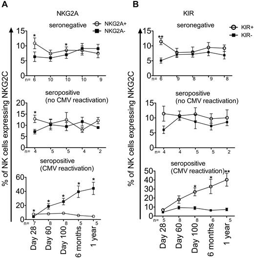Figure 4. Expanding NKG2C+ NK cells are more mature (KIR+ and NKG2A−) in the first year after CMV reactivation. NKG2C+ NK cells from seronegative (top panel), seropositive (no CMV reactivation, middle panel), and seropositive (CMV reactivation, bottom panel) recipients at the indicated time points were gated as being either NKG2A+ (○) or NKG2A− (■, A) and either KIR+ (○) or KIR− (■, B) based on a cocktail of Abs against CD158a/h, CD158b/j, and CD158e. Points represent the means ± SEM. NKG2A+ and NKG2A− NK cells (or KIR+ and KIR− NK cells) were compared for the same group of recipients at each time point using the paired t test. *P ≤ .05 and **P < .01.