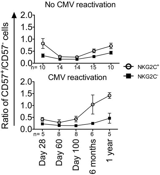 Figure 6. CD57 is preferentially acquired on NKG2C+ cells in the first year after CMV reactivation. CD57 co-expression was measured on NKG2C+ (○) and NKG2C− (■) NK cells from recipients without CMV infection (top panel) and with CMV infection (bottom panel). The ratio of CD57+/CD57− was plotted at the indicated time points. Points represent the means ± SEM. The slope of time for NKG2C+ NK cells was compared between recipients who reactivated CMV and those who did not using a linear mixed model, P = .0015.