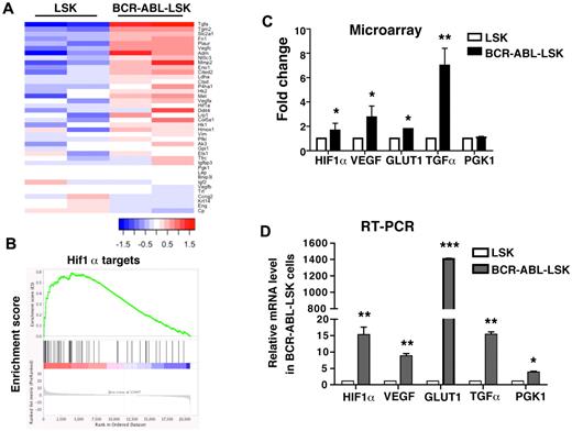 Figure 1. Hypoxia-responsive genes are up-regulated in LSCs. BCR-ABL–expressing LSK cells and control LSK cells were sorted from mice receiving BCR-ABL or empty vector-transduced BM cells for DNA microarray analysis. (A) The heatmap compares the activation of the HIF1α signaling pathway in BCR-ABL–expressing LSK cells and control LSK cells. (B) Gene set enrichment analysis (GSEA) displays the expression profiling of HIF1α targets in BCR-ABL–expressing LSK cells (P < .001). (C) Microarray data showed higher expression of HIF1α, vascular endothelial growth factor (VEGF), glucose transporter type 1 (GLUT1), and transforming growth factor α (TGFα) in BCR-ABL–expressing LSK cells comparing to normal LSK cells. (D) Real-time RT-PCR was performed with primers specific for HIF1α, VEGF, GLUT1, TGFα, and PGK1. The results were normalized using actin as a control, and shown as mean ± SD. *P < .05; **P < .01.