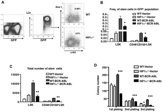 Figure 4. HIF1α deletion suppresses LSCs. (A) FACS analysis of LSCs in BM of secondary recipients of WT or HIF1α−/− BM cells from primary CML mice. (B-C) The percentages and total numbers of stem cells (GFP+Lin−Sca-1+c-Kit+ cells and GFP+CD48−CD150+Lin−Sca-1+c-Kit+ cells) in BM of secondary recipient mice receiving BM cells from WT or HIF1α−/− control and CML mice were analyzed by FACS; *P < .05; **P < .01. (D) The loss of HIF1α causes a decrease in the colony-forming ability of BCR-ABL–expressing LSK cells. Sorted normal LSK cells and BCR-ABL–expressing LSK cells (GFP+Lin−Sca-1+c-Kit+ cells) were plated into methycellulose medium, colonies were counted, and cells were serially replated. Data show results from representative experiments. Mean values (± SEM) are shown; *P < .05; ***P < .001.