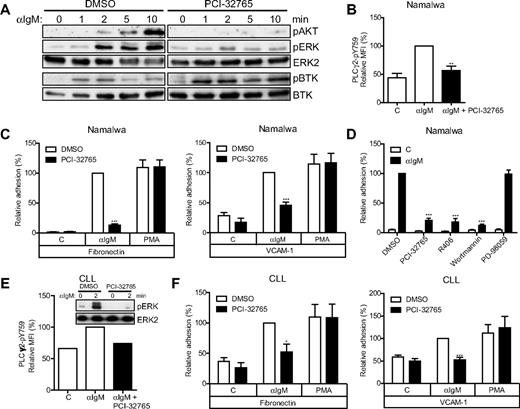 Figure 1. PCI-32765 abrogates BCR-controlled signaling and adhesion. (A) Namalwa cells pretreated with 1μM PCI-32765 were stimulated with αIgM and immunoblotted for phosphorylated (p) AKT, ERK, and BTK (pY551). Total ERK2 and BTK were used as loading controls. The blots are representative of 4 independent experiments. (B) Namalwa cells pretreated with PCI-32765 were stimulated with αIgM, and phosphorylated phospholipase C-γ2 (PLCγ2-pY759) was measured by flow cytometry (n = 6). (C) Namalwa cells pretreated with PCI-32765 were stimulated with αIgM or PMA and allowed to adhere to fibronectin-coated (n = 13) or VCAM-1–coated (n = 8) surfaces. (D) Namalwa cells pretreated with PCI-32765 (BTK inhibitor), R406 (SYK inhibitor), wortmannin (PI3K inhibitor), or PD-98059 (MEK inhibitor) were stimulated with αIgM and allowed to adhere to fibronectin-coated surfaces (n = 7). (E) Primary CLL cells (patient 898) pretreated with 1μM PCI-32765 were stimulated with αIgM and immunoblotted for pERK. Total ERK2 was used as loading control. Phosphorylated PLCγ2 (pY759) was measured by flow cytometry from the same patient sample. (F) CLL cells pretreated with PCI-32765 were stimulated with αIgM or PMA and allowed to adhere to fibronectin-coated (n = 5 patients) or VCAM-1–coated (n = 6 patients) surfaces. Graphs are presented as normalized mean + SEM (100% = stimulated cells without inhibitors). C indicates control (unstimulated); and MFI, mean fluorescence intensity. *P < .05; **P < .01; ***P < .001.