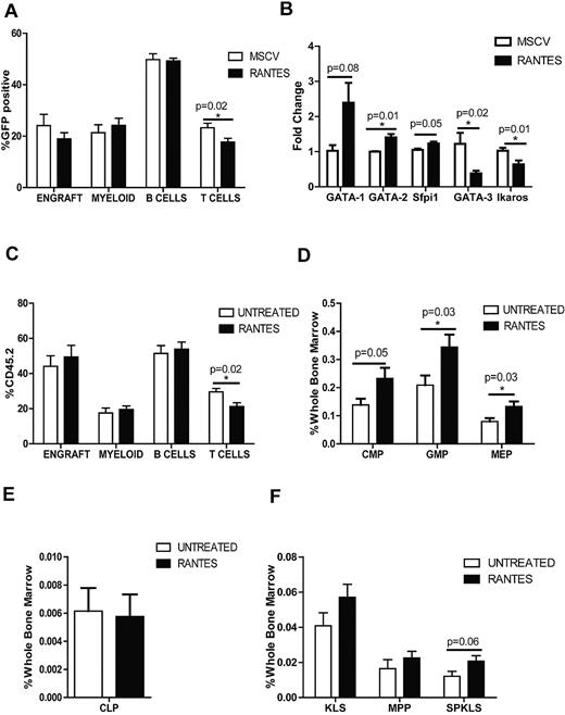 Figure 3. Exposure to Rantes causes myeloid skewing. (A) The graph shows the proportions of lineages (Myeloid, B cells, and T cells) of the GFP+ donor-derived WBCs transduced with MSCV-GFP or MSCV-Rantes-IRES-GFP analyzed 12 weeks after transplantation (n = 10 MSCV, n = 10 Rantes). Overall engraftment of transduced cells is also indicated (“Engraft”). (B) Quantitative real-time PCR analysis of the indicated genes in progenitors (LSGFP+ cells) from MSCV-GFP or Rantes-GFP transduced progenitors after 48 hours in vitro (n = 3 MSCV, n = 3 Rantes). (C) PB analyses of mice transplanted with HSCs that are treated or untreated with Rantes ex vivo before competitive transplantation. Donor contribution to myeloid and lymphoid lineages is presented as the percentage of donor-derived myeloid, B, and T cells 16 weeks posttransplantation. (D) BM frequencies of donor-derived myeloid progenitors in BM from mice transplanted with Rantes- or untreated HSCs (SPKLS) in a competitive transplantation: CMPs, GMPs, MEPs. Analysis of HSC-derived progeny in recipients 5 months posttransplantation (n = 7 Untreated, n = 7 Rantes). (E) BM frequencies of donor-derived CLPs from Rantes- or untreated HSC as in panel D. (F) BM frequencies of donor-derived stem and progenitor populations: KLS, MPP (KLS Flk2+), SPKLS, SPKLS-CD150+ after transplantation of Rantes- or untreated HSC as in panel D. CMP: Lin−, IL7rα−, Sca-1−, c-Kit+, FcγRloCD34+; GMP: Lin−, IL7rα−, Sca-1−, c-Kit+, FcγR+CD34+; MEP: Lin−, IL7rα−, Sca-1−, c-Kit+, FcγR−CD34−; and CLP: Lin−, IL7rα+, Sca-1lo, c-Kitlo, Flt3+ (n = 7 Untreated, n = 7 Rantes). Error bars represent SEM. Representative of 2 experiments