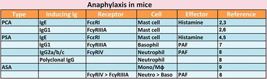 Presented are inducer immunoglobulins (Ig), their receptors, cell types, and effector molecules responsible for various types of experimental anaphylaxis.