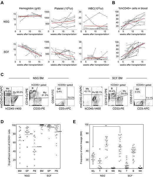 Figure 1. Human hematopoietic engraftment is enhanced in hSCF Tg NSG recipients. (A) hSCF Tg NSG recipients developed progressive anemia as evidenced by reduced hemoglobin concentration compared with non-Tg NSG mice transplanted with human HSCs from the same donor source. (B) Human CD45+ chimerism was analyzed over time in PB of hSCF Tg and non-Tg NSG recipients. (C) Representative flow cytometric contour plots demonstrating the presence of human CD45+ cells, CD19+ B cells, CD33+ myeloid cells, CD3+ T cells, and CD56+CD3− NK cells in recipient BM. (D) At the time of death, engraftment levels of human CD45+ cells in the BM, spleen, and PB of hSCF Tg NSG recipients were significantly higher compared with non-Tg NSG controls (BM: hSCF Tg n = 21, non-Tg n = 13, P < .0001; spleen: hSCF Tg n = 21, non-Tg n = 13, P = .0065; PB: hSCF Tg n = 21, non-Tg n = 13, P < .0001). (E) In hSCF Tg NSG recipient BM, significantly greater human CD33+ myeloid lineage development was observed (hSCF Tg n = 21, non-Tg n = 13, P = .0002).