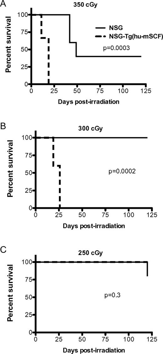Figure 1. Radiosensitivity of NSG and NSG-Tg(hu-mSCF). NSG and NSG-Tg(hu-mSCF) mice were irradiated with 350 cGy (A), 300 cGy (B), or 250 cGy (C). Mice (5 mice per group) were then monitored for survival.