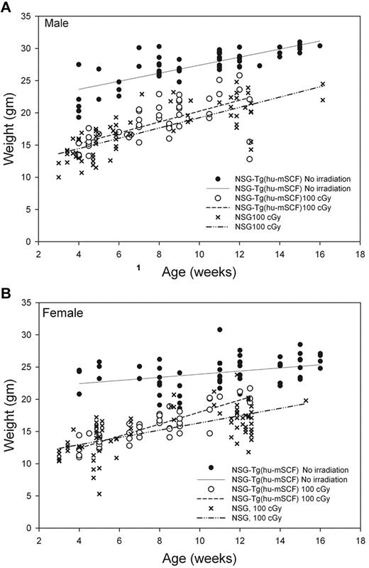 Figure 2. Weights of mice engrafted with human HSC as newborns. Weights of nonirradiated NSG-Tg(hu-mSCF) and 100-cGy irradiated NSG and NSG-Tg(hu-mSCF) mice engrafted with human HSCs as newborns were obtained over time after weaning. (A) Male mice. (B) Female mice. Each symbol represents an individual data point. The lines represent the average of the individual data points.