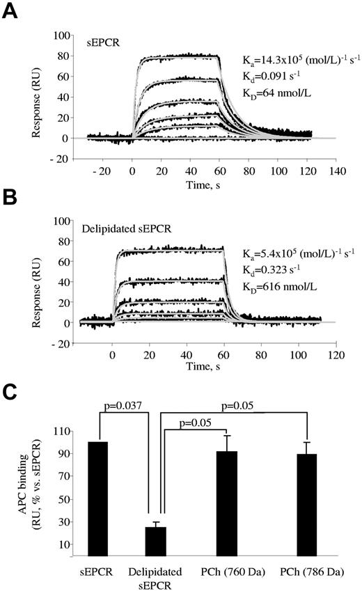 Figure 2. SPR analysis of the influence of PCh on the APC binding to sEPCR. sEPCR was captured on a CM5 chip through RCR-2 mAb. (A) Binding of APC (0, 3, 9, 27, 81, and 243nM) to sEPCR. (B) Binding of APC (0, 9, 27, 81, 243, and 729nM) to delipidated sEPCR. In both cases, a representative experiment of 3 independent repeats is shown. Black lines represent experimental data; and gray lines, fittings to a Langmuir 1:1 kinetic model. (C) Binding at equilibrium of 100nM APC to sEPCR, delipidated sEPCR, and delipidated sEPCR reconstituted with 760 and 786 Da MW PCh. Data are mean ± SD of 3 independent experiments. Mann-Whitney U test was used for statistical comparisons.