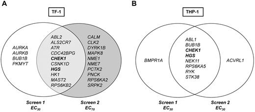 Figure 3. siRNA screen hits. Venn diagram of hits from primary siRNA-kinome sensitizer screens with Ara-C. Genes/hits depicted in bold are common Ara-C sensitizers identified in both TF-1 and THP-1.