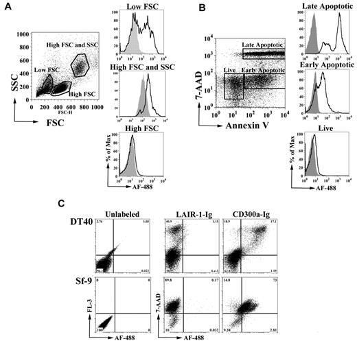 Figure 1. CD300a-Ig binds to dead cells. (A) Human starved PBMCs from a healthy donor were labeled with Alexa Fluor 488 (AF488)–CD300a-Ig (empty histograms) or control AF488-LAIR-1-Ig (filled histograms). Three groups of cells were electronically gated based in their forward scatter (FSC) and side scatter (SSC). Data shown are representative of at least 5 experiments. (B) Starved PBLs from a healthy donor were stained with allophycocyanin (APC) annexin-V, 7-AAD, AF488-CD300a-Ig, or control AF488-LAIR-1-Ig. The binding of AF488-CD300a-Ig (empty histograms) and AF488-LAIR-1-Ig (filled histograms) was determined on live (annexin-V−7-AAD−), early apoptotic (annexin-V+7-AAD−) and late apoptotic/necrotic (annexin-V+7-AAD+) cells. Data shown are representative of at least 5 independent experiments. (C) Dexamethasone-treated DT40 chicken B cells (top panel) and serum starved Sf-9 insect cells (bottom panel) were either unlabeled or labeled with 7-AAD, AF488-CD300a-Ig or control AF488-LAIR-1-Ig and analyzed by flow cytometry. Data shown are representative of 2 independent experiments.