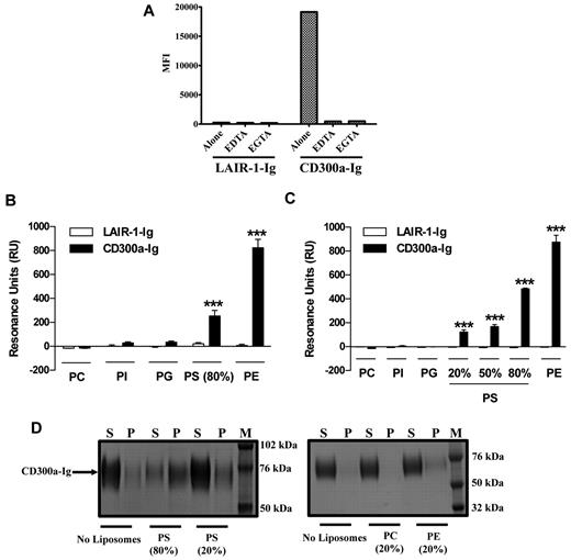 Figure 2. Binding and association of CD300a-Ig to PE and PS. (A) Starved PBMCs from healthy donors were left untreated (alone) or preincubated with 2 different divalent cation chelators (EDTA and EGTA). The binding of LAIR-1-Ig or CD300a-Ig to the 7-AAD positive cells was assessed and the mean fluorescence intensity (MFI) values are plotted. Data shown is representative of 3 independent experiments. (B) Liposomes of specified compositions (x-axis) were prepared and coupled to a L1 biosensor. See the supplemental Methods for specifics of liposome composition. The binding of LAIR-1-Ig (white bars) and CD300a-Ig (black bars) was analyzed by allowing the proteins to pass through the L1 sensor. The binding (resonance units or RU) for plateau values is shown. The RU are plotted after subtracting from the buffer control. Bar graph represents the average ± SEM. Results shown are from 8 independent experiments. (C) LAIR-1-Ig and CD300a-Ig were immobilized onto a CM5 sensor and a series of liposomes with different compositions (x-axis) were allowed to pass through the sensor and the binding analysis of liposomes to proteins was analyzed. See supplemental Methods for specifics of liposome composition. The binding (RU) for plateau values is shown. The RU are plotted after subtracting from the buffer control. Bar graph represents the average ± SEM. Results shown are from 2 independent experiments. (D) Liposomes of different compositions were incubated with CD300a-Ig fusion protein and allowed to associate. After 40 minutes of incubation the supernatants (S) and pellet (P) fractions were separated by ultracentrifugation and analyzed by sodium dodecyl sulfate (SDS)–polyacrylamide gel electrophoresis (PAGE) analysis. The prestained protein markers (M) are also represented on the protein gel. Data shown are representative of 3 independent experiments.