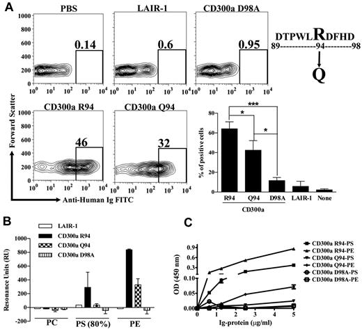 Figure 5. Impaired binding of CD300a-Ig Q94, a SNP linked to psoriasis susceptibility. (A) Binding of CD300a-Ig Q94 to dead PBLs. Purified CD300a-Ig proteins were incubated with starved PBLs and their binding to 7-AAD+ cells after adding anti–human Ig FITC was determined by flow cytometry. LAIR1-Ig was used as a negative control protein. Numbers in the dot plots are the percentage of 7-AAD+ PBLs that bind the fusion proteins. A representative experiment is shown. Bar graph represents the average ± SEM. Results shown are from 5 independent experiments. (B) Binding of CD300a-Ig proteins to liposomes. Liposomes of specified compositions (x-axis) were prepared and coupled to a L1 biosensor. See the supplemental Methods for specifics of liposome composition. The binding of CD300a-Ig R94 (wild-type), CD300a-Ig Q94 (SNP), CD300a-Ig D98A (not binding mutant) and LAIR-1-Ig (negative control) was analyzed by allowing the proteins to pass through the L1 sensor. The binding (RU) for plateau values is shown. The RU were plotted after subtracting from the buffer control. Bar graph represents the average ± SEM. Results shown are from 2 independent experiments. (C) Binding of CD300a-Ig Q94 to purified lipids. Aminophospholipids PE and PS were coupled to 96-well plates as described in supplemental Methods. A sandwich ELISA was performed with the Ig-fusion proteins at different concentrations. The optical density at 450 nm was determined. Data shown are representative of 2 independent experiments.