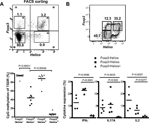Figure 1. Foxp3+Helios+ Tregs have uniformly demethylated TSDR and do not produce inflammatory cytokines. (A) CD4+CD25hi cells were isolated from the buffy coat of a male donors (n = 7), fixed-permeabilized, and stained for intracellular expression of Foxp3 and Helios. Stained cells were sorted into the 4 different fractions. Upper plot shows the staining and gating condition before sorting. For DNA methylation analysis of the TSDR, bisulfite modification of genomic DNA was performed after extraction from the sorted fractions. Methylation of CpG was read and analyzed by the pyrosequencing method. Results from 7 donors are shown in the lower plot. (B) CD4+CD25+ cells were sorted from the buffy coat and were stimulated with plate-bound anti-CD3 and anti-CD28 antibodies for 6 days. The cells were then expanded for an additional 5 days with anti-CD3/anti-CD28 antibody-coated magnetic beads (CD3/CD28-beads). Intracellular staining for IFNγ (n = 4), IL17A (n = 5), and IL2 (n = 4) was performed after restimulation with PMA and ionomycin. Top dot plot is an example to show the gating of each subset separated by Foxp3 and Helios expression in the expanded population.