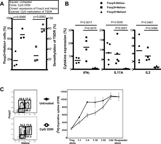 Figure 3. The Foxp3+Helios+ T cells expanded in the presence of the CpG ODN are functional Tregs. (A) The TSDR of CD4+CD25+ T cells expanded in the presence of the CpG ODN is fully demethylated. FACS-sorted CD4+CD25+ cells were stimulated with plate-bound anti-CD3 and anti-CD28 in the presence of CpG ODN (2.5μM) for 5 days. The cells were then expanded 14 to 16 days in IL-2 containing media without CpG ODN and methylation analysis was performed as in Figure 1A. (B) Two-week expanded, CpG ODN-treated Tregs were treated as in Figure 1B with PMA/ionomycin and analyzed for intracellular cytokine expression. (C) The population of cells expanded in the presence of the CpG ODN exhibits greater suppressive activity than cells expanded in the absence of the ODN. Tregs were expanded as in panel A and cultured for 3 days at different ratios with freshly isolated CD4+CD25− cells (5 × 104 cells/well) in the presence of γ-irradiated PBMCs (5 × 104) and soluble anti-CD3 (2 μg/mL). 3H-TdR incorporation was measured during the last 18 hours of culture.
