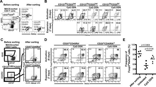 Figure 4. An increased frequency of Foxp3+Helios+ T cells is seen in the presence of the CpG ODN during expansion of distinct populations of Tregs. (A) Sorting strategy used for isolation of CD127hiCD25+, CD127loCD25int, and CD127lo25hi T cells. Expression of Foxp3 and Helios was analyzed in the different populations after sorting. (B) CpG ODN-mediated enhancement of the frequency of Foxp3+Helios+ cells in the sorted populations. (C) Sorting strategy for the isolation of CD25+CD45RA+ and CD25+CD45RA− Treg subpopulations. Expression of Foxp3 and Helios in the cells was performed after sorting. (D) CpG ODN-mediated enhancement of the frequency of Foxp3+Helios+ cells in the sorted CD25+CD45RA+ and CD25+CD45RA− Treg subpopulations after activation and subsequent expansion. (E) Enhancement of Foxp3+Helios+ cells in 2 week-expanded CD25+CD45RA+ Tregs (n = 5).