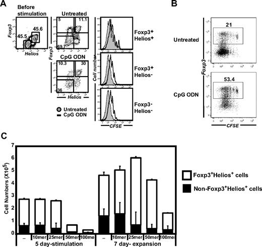 Figure 5. CpG ODN acts directly on Foxp+Helios+ cells. The enhancement of the frequency of Foxp3+Helios+ Tregs by CpG ODN is not secondary to differential effects of the ODN on the proliferation of Foxp3+Helios+, Foxp3+Helios−, or Foxp3−Helios− subpopulations. A mixture containing 50% CD4+CD25+ and 50% CD4+CD25− T cells was created after sorting. After labeling with CFSE, the mixture was stimulated for 5 days with plate-bound anti-CD3/CD28 in the presence or absence of the CpG ODN (2.5μM). (A) The extent of CFSE dilution was analyzed by gating on the 3 subsets (Foxp3+Helios+, Foxp3+Helios−, and Foxp3−Helios−). (B) The proliferation of the Foxp3+ and Foxp3− T cells is identical in the presence and absence of the ODN. (C) The optimal size ODN do not inhibit Treg expansion. CD4+CD127loCD25+ cells (1 × 105) were isolated by FACS sorting, stimulated for 5 days in the presence of different length ODNs (10 mer, 10-bp long ODN; 25 mer, 25-bp long ODN; 50 mer, 50-bp long ODN; 100 mer, 100-bp long ODN). Stimulated cells were washed and expanded for an additional 7 days in the absence of the ODN. Cell yield and percent Foxp3+ and Helios+ cells were quantitated by FACS. The graph indicates the absolute number (mean ± SD) of Foxp3+Helios+ cells (open box) and non-Foxp3+Helios+ cells (closed box) recovered on day 12. Data shown is the 1 of 4 independent experiments from different donors.