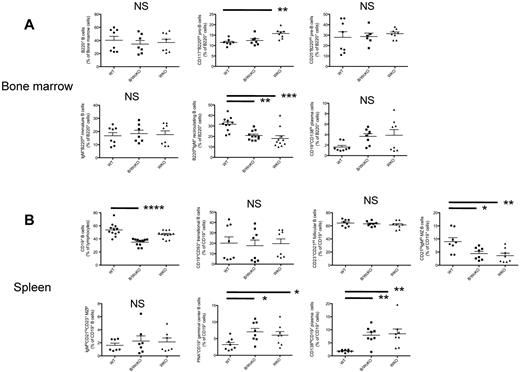Figure 2. Proportion of B-lineage cell types in the BM and spleen. (A) Different B-cell subsets in the BM of WT, B/WcKO, and WKO mice were analyzed by flow cytometry with the indicated cell surface markers. Results from individual mice are shown. Statistical significance was assessed with 1-way ANOVA and Bonferroni posttest analysis. **P < .01 and ***P < .001. (B) Different B-cell subsets in the spleen of WT, B/WcKO, and WKO mice were analyzed by flow cytometry with the indicated cell surface markers. Data from individual mice are shown. Statistical significance was assessed with 1-way ANOVA and Bonferroni posttest analysis. *P < .05, **P < .01, and ****P < .0001.