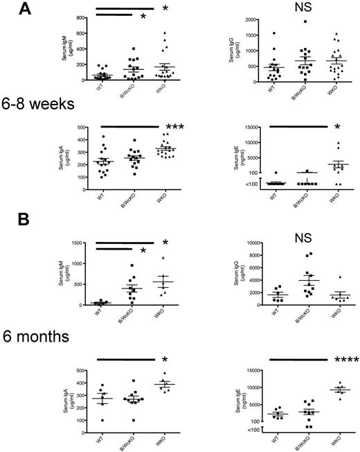 Figure 4. Analysis of dysgammaglobulinemia in B/WcKO mice. Serum from 6- to 8-week-old (A) or 6-month-old (B) naive WT, B/WcKO, and WKO mice was tested for total serum IgM, IgG, IgA, and IgE concentrations by ELISA. Values of individual mice are shown. Bars indicate mean ± SEM. Significance was assessed with the Student t test. *P < .05, ***P < .001, and ****P < .0001.