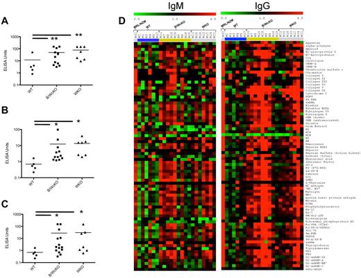 Figure 7. Increased autoantibody production in B/WcKO mice. (A-C) Sera of 6-month-old WT, B/WcKO, and WKO mice were tested by ELISA for IgG Abs specific for anti-ssDNA (A), anti-dsDNA (B), and chromatin (C). Data of individual mice are shown. Significance was calculated with the Mann-Whitney test. *P < .05 and **P < .01. (D) An autoantibody array chip was used to detect autoantibodies of IgM (left) or IgG (right) isotype against 73 different autoantigens (listed on the right). Sera from 6 WT mice (blue bar), 9 B/WcKO mice (green bar), and 7 WKO mice (gray bar) were tested. A serum from a lupus-prone MRL/NZM mouse (first row) served as a positive control. A red dot in the array indicates a 4-fold increase of autoantibody titer compared with average values in control sera.