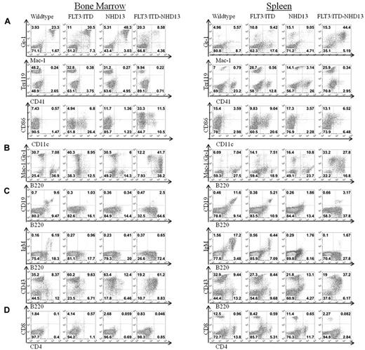 Figure 3. Mice with FLT3/ITD-NHD13 mutations develop AML. Comparison of cell surface staining of FLT3/ITD-NHD13 mice to WT, NHD13, and FLT3/ITD littermates at a 3-month time point. Bone marrow and spleen were evaluated for the expression of (A) mature myeloid markers, (B) coexpression of Mac-1/Gr-1 and B220, (C) B-cell markers, and (D) T-cell markers.