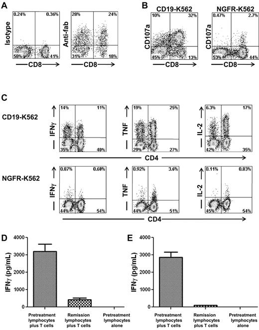 Figure 2. Anti–CD19-CAR–transduced T cells produced cytokines in a CD19-specific manner and recognized autologous leukemia cells. (A) Staining with an anti-Fab Ab revealed expression of the anti-CD19 CAR on the surface of T cells that were administered to patient 7. Staining with an isotype control Ab is also shown. Both plots were gated on CD3+ lymphocytes, which made up 99% of the cells in the culture. (B) On the day of infusion, T cells of patient 7 up-regulated CD107a expression after a 4-hour culture with the CD19+ target cell CD19-K562 but not the negative control cell NGFR-K562 that does not express CD19. (C) On the day of infusion, anti–CD19-CAR–transduced T cells of patient 7 produced IFNγ, TNF, and IL-2 when cultured for 6 hours with the CD19+ target cell CD19-K562 but not the negative control cell NGFR-K562 that does not express CD19. The results shown in panels A through C are representative of the results obtained for all of the patients on the protocol. (D) Anti–CD19-CAR–transduced T cells of patient 3 were cultured with either autologous pretreatment lymphocytes or autologous remission lymphocytes overnight, and an IFNγ ELISA was performed on the supernatant. Anti–CD19-CAR–transduced T cells of patient 3 specifically recognized pretreatment lymphocytes but not remission lymphocytes obtained 7 weeks after CAR-transduced T-cell infusion. Sixty-four percent of the pretreatment lymphocytes were CD19+ leukemia cells. The remission lymphocytes contained only 0.1% CD19+ cells. (E) Anti–CD19-CAR–transduced T cells of patient 6 were cultured with either pretreatment autologous lymphocytes or autologous remission lymphocytes overnight and an IFNγ ELISA was performed on the supernatant. Anti–CD19-CAR–transduced T cells of patient 6 specifically recognized pretreatment lymphocytes but not remission lymphocytes obtained 2 weeks after CAR–transduced T-cell infusion. Seventy-six percent of the pretreatment lymphocytes were CD19+ leukemia cells. The remission lymphocytes contained only 0.1% CD19+ cells. In both panels D and E, pretreatment lymphocytes cultured alone did not produce detectable quantities of IFNγ.