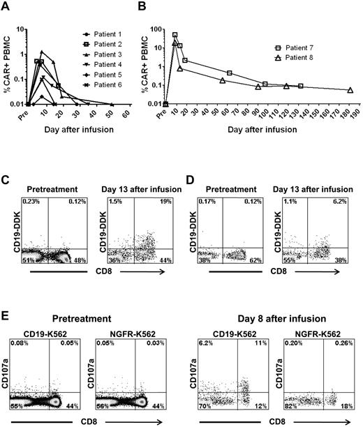 Figure 5. Anti–CD19-CAR–transduced T cells can be detected in the blood of patients for up to 181 days after infusion. (A) The percentage of total PBMCs that contained the anti-CD19 CAR gene was determined by quantitative PCR. In patients 1 through 6, the peak levels and persistence of cells containing the CAR gene varied. (B) The percentage of total PBMCs from patient 7 and patient 8 that contained the anti-CD19 CAR gene was determined by quantitative PCR. Compared with the other patients, these patients had substantially greater persistence of cells that contained the CAR gene. (C) Anti-CD19 CAR expression was detected ex vivo on PBMCs of patient 7 by flow cytometry staining with labeled CD19 protein (CD19-DDK) 13 days after CAR-transduced T-cell infusion. Only background levels of cells expressing the anti-CD19 CAR were detected before treatment. (D) In patient 8, T cells expressing the anti-CD19 CAR were detected by flow cytometry staining with labeled CD19 protein 13 days after CAR-transduced T-cell infusion. Only background levels of cells expressing the anti-CD19 CAR were detected before treatment. (C-D) The plots are gated on CD3+ lymphocytes. (E) PBMCs from patient 7 were cultured for 4 hours with either CD19+ CD19-K562 cells or NGFR-K562 control cells that do not express CD19. Before treatment, CD107a was not up-regulated on T cells after culture with either CD19-K562 cells or NGFR-K562 cells. In contrast, T cells from 8 days after infusion up-regulated CD107a after a 4-hour culture with CD19-K562 cells but not NGFR-K562 cells. All plots are gated on CD3+ lymphocytes.