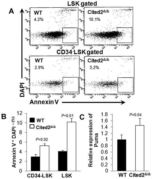 Figure 2. Cited2 deficiency results in elevated HSC apoptosis. (A) Representative plots of cells undergoing apoptosis (annexin V+ DAPI−) within LSK (top panel) and CD34− LSK (bottom panel) fractions. (B) Summary data of apoptotic cells shown as means ± SEM (n = 4). (C) Relative expression of Puma in LSK cells (means ± SEM, n = 4). WT indicates wild-type.