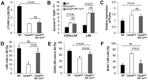 Figure 5. Deletion of HIF-1α partially restores impaired HSC quiescence caused by Cited2 deficiency. (A) Percentage of LT-HSCs (CD48−CD150+ LSKs) in LSK cells determined by FACS analysis. (B) Percentage of annexin V+DAPI− cells within LSK cells and CD34− LSK cells. (C) Relative mRNA level of Puma in LSK cells. (D) Percentage of LSK cells in G0. (E) Percentage of CD34− LSK cells in G0. (F) The percentage of BrdU+ LSK cells. All data are shown as means ± SEM (n = 4). WT indicates wild-type.