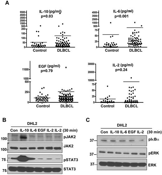 Figure 1. Serum cytokine levels in DLBCL patients. (A) Serum IL-10, IL-6, EGF, and IL-2 levels in DLBCL patients (n = 70) and healthy subjects (n = 24). (B-C) Serum-starved DHL2 cells were incubated with 100 ng/mL of human rIL-10, rIL-6, rIL-2, and rEGF for 30 minutes, and phosphorylation of JAK2 and STAT3 (B) and IkBα and ERK (C) were analyzed by Western blotting.