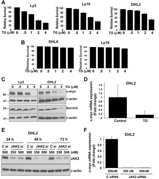 Figure 7. Effect of the JAK2 inhibitor TG on DLBCL-cell survival. (A-B) Ly3, Ly10, DHL2, DHL6, and Ly19 DLBCL cells were treated with various doses of the JAK2 inhibitor TG for 48 hours. Survival was then assessed by flow cytometry. Bars represent means ± SD from 3 experiments. (C) Ly3 and DHL2 cells were exposed to various concentrations of TG for 24 hours and expression of c-myc and survivin was analyzed by Western blotting. (D) c-myc mRNA expression was analyzed by qRT-PCR (as described in “qRT-PCR”) in TG-treated DHL2 cells. Bars represent means ± SD from 3 experiments. (E) siRNA (250 and 500nm) targeting JAK2 and a nonsilencing control siRNA were transfected as described in “siRNA transfection” and DHL2 cells were harvested 24, 48, and 72 hours later. Cell lysates were immunoblotted with JAK2 and β-actin Abs. (F) c-myc expression in JAK2 siRNA- (250 and 500nM) and control siRNA (500nM)–transfected DHL2 cells was analyzed at 72 hours by qRT-PCR.
