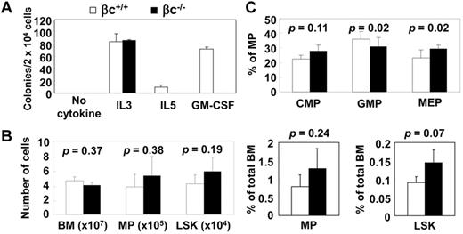 Figure 2. GM-CSF is not necessary for maintenance of hematopoiesis. (A) Response of wild-type (βc+/+) and βc−/− cells to single cytokines in colony assay. (B) Flow cytometric analysis of myeloid progenitor (MP) and LSK of βc+/+ and βc−/− mice. Absolute numbers and percentage of total BM are shown. MP, PI−/Lin−/IL-7Rα−/c-Kit+/Sca-1−; LSK, PI−/Lin−/IL-7Rα−/c-Kit+/Sca-1+ (n = 3; C) Flow cytometric analysis of common myeloid progenitor (CMP), PI−/Lin−/IL-7Rα−/c-Kit+/Sca-1−/FcγRlo/CD34+; granulocyte-macrophage progenitor (GMP), PI−/Lin−/IL-7Rα−/c-Kit+/Sca-1−/FcγRhi/CD34+; and megakaryocyte-erythrocyte progenitor (MEP), PI−/Lin−/IL-7Rα−/c-Kit+/Sca-1−/FcγRlo/CD34− in βc+/+ and βc−/− animals. (n = 6).