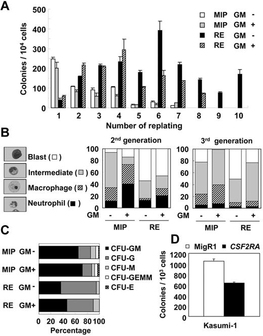 Figure 5. The GM-CSF cytokine negatively affects the self-renewal of RUNX1-ETO cells. (A) Representative result of 3 independent replating assays using BM cells transduced with MIP vector (MIP) or MIP-RE (RE), with or without addition of 10 ng/mL of GM-CSF. (B) Differential counts of cytospin samples from colony cells. Representative results of 2 independent experiments are shown. (C) Differential count of CFUs at the first replating. Representative results of 2 independent experiments. CFU-GM indicates granulocyte macrophage CFU; CFU-G, granulocyte CFU; CFU-M, macrophage CFU; CFU-GEMM, granulocyte, erythroid, macrophage, megakaryocyte CFU; and CFU-E, erythroid CFU. (D) Colony-forming efficiency of Kasumi-1 cells infected with MigR1 (MigR1) or MigR1-CSF2RA (CSF2RA) retrovirus. A representative result of average colony numbers of duplicate samples of 2 independent experiments is shown.