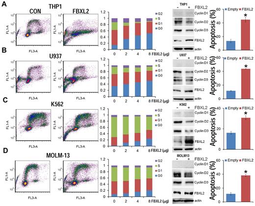 Figure 5. FBXL2 induces G0 arrest in leukemic cell lines. (A-D) THP1, U937, K562, and MOLM-13 cells were cultured in RPMI medium followed by overexpression of FBXL2 using a GenomONE HVJ-E transfection kit. Cells were labeled with BrdU and analyzed by 2-color flow cytometry (left panels). Quantification of each cell phase is presented in the bar graphs (middle panels). Cells were also collected after transfection, cyclin Ds and FBXL2 protein levels were analyzed by immunoblotting (right immunoblots). Cells were also labeled with annexin V and analyzed by 2-color flow cytometry (far right panels). Apoptotic cells were quantified. *P < .05 versus empty plasmid.