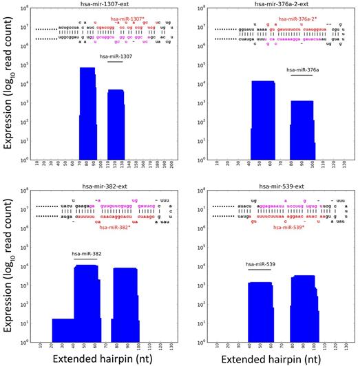 Figure 3. Examples of new miRNAs discovered. Plots show the number of reads per nucleotide position mapping in extended hairpin loci for hsa-mir-1307, hsa-mir-376a-2, hsa-mir-382, and hsa-mir-539, expressing both known and new miRNAs. Known miRNA position respective to the extended hairpin is indicated in the plot. In the top part of panel, the sequence of mature miRNAs is shown (red indicates known miRNA; and pink, new miRNA).