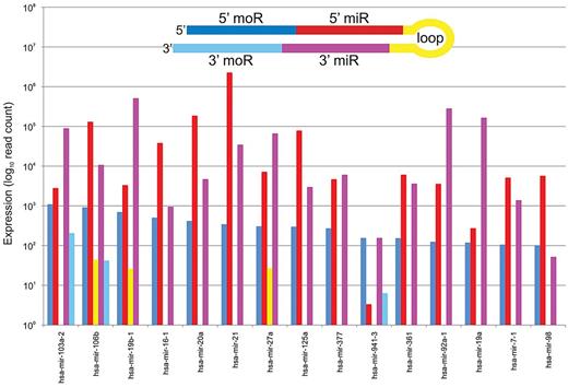 Figure 4. Two miRNAs and 2 moRNAs may be produced by transcription and processing of a single miRNA locus. The plots show expression levels of miRNAs, moRNAs, and loops from 15 hairpins corresponding to most expressed moRNAs.