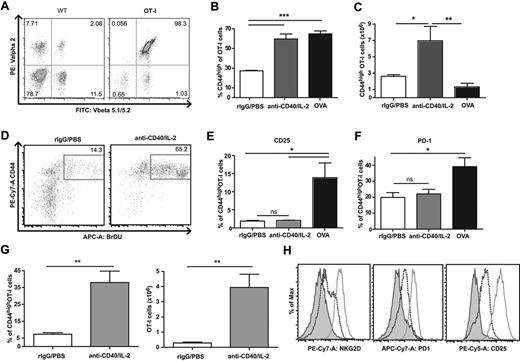 Figure 4. Phenotype of OT-I CD8+ T cells after cytokine immunotherapy versus immunization. (A) Expression of Vα2 and Vβ5.1/5.2 on peripheral blood CD8+ T cells from WT (left) and OT-I (right) mice. Numbers in the quadrants denote the percentages of CD8+ T cells expressing each marker. (B) Percentage and (C) numbers of CD44high expressing OT-I cells 11 days after anti-CD40 and IL-2 immunotherapy or OVA vaccination. (D) Dot plots depicting BrdU incorporation gated by CD44high expressing population in adoptively transferred OT-I cells after immunotherapy. Percentages of (E) CD25− and (F) PD-1 expression on CD44highOT-I cells from anti-CD40/IL-2 or OVA-vaccinated mice. (G) Percentage (left) and total numbers (right) of NKG2D+CD25− of CD44highOT-I cells on day 12 of anti-CD40 and IL-2 treatment. (H) Frequencies of NKG2D (left), PD-1 (middle), and CD25 (right) on OT-I cells after in vitro anti-CD3 and anti-CD28 (solid line) or IL-2 (dashed line) stimulations compared with media alone (shaded). Data are representative of at least 2 independent experiments (*P < .05, **P < .01, ***P < .001).