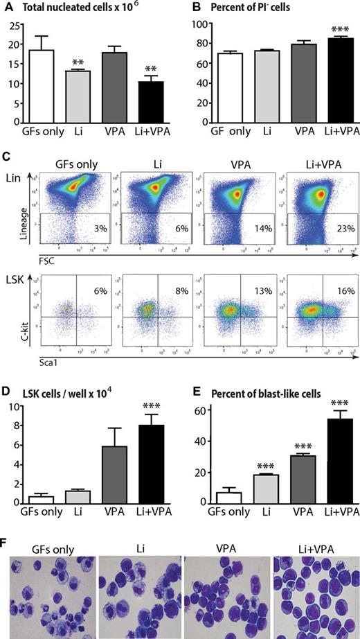 Figure 1. Preserved immature phenotype of hematopoietic progenitor cells after in vitro myeloid differentiation culture. HSPCs (LSK cells) were differentiated in vitro into the myeloid lineage for 7 days in the presence or absence of VPA and/or Li. (A) Effects of VPA + Li treatment on cell proliferation. The number of viable cells was scored with trypan blue exclusion. Shown is the mean ± SD (n = 5-7). (B) The proportion of cells that excludes PI after 7 days of differentiation culture. Shown is the mean ± SD (n = 5-7). The proportion of cells excluding PI was in agreement with the proportion of dead cells stained with trypan blue (data not shown). (C) Representative flow cytometric analysis of LSK expression on cells cultured for 7 days with or without VPA + Li. Cells in the graphs were pregated for viable (PI−) cells. An equal number of events were collected for each sample. (D) Absolute number of cells with preserved LSK phenotype, quantified on the basis of on FACS data, presented as number of LSK cell per well. Error bars represent SD of the mean (n = 3-7). (E) Percentage of cells with preserved blast-like morphology after 7-day differentiation culture. Shown is the mean ± SD (n = 3-6). (F) Representative cell morphology of cells cultured with or without VPA + Li. Cytospin preparations were stained with May-Grünwald-Giemsa and viewed under a light microscope (original magnification ×100). The differences between groups were evaluated by Welch t test, **P < .01 and ***P < .001.