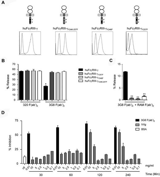 Figure 5. Human FcγRIIIA mediates both inhibition and activation through the FcRγ ITAM depending on the type of ligand. (A) FcγRIIIA chimeric constructs are schematically presented and their surface expression levels after transfection into RBL-2H3 cells are shown compared with nontransfected cells (gray vs blue histograms). (B) IgE-sensitized RBL-2H3 transfectants were incubated with either 3G8 F(ab′)2 or 320 F(ab′)2 at 10 μg/mL for 30 minutes at 37°C as indicated and degranulation was triggered with DNP-HSA (0.1 μg/mL) for 45 minutes. Net β-hexosaminidase release was determined. (*P < .05; n = 3; nonparametric Mann-Whitney test). (C) RBL-2H3 transfectants were incubated with 10 μg/mL of 3G8 F(ab′)2 at 4°C before stimulation with rabbit anti–mouse F(ab′)2 (RAM at 40 μg/mL) for 45 minutes at 37°C. Net β-hexosaminidase release was determined. (**P < .01; n = 3; nonparametric Mann-Whitney test). (D) IgE-sensitized huFcγRIII+ RBL-2H3 transfectants were preincubated at 37°C with either BSA at 10 mg/mL for 240 minutes or 3G8 F(ab′)2 or with IVIg, at the indicated concentrations and for the indicated time. Degranulation was measured as in panel B (*P < .05; n = 3, nonparametric Mann-Whitney test).