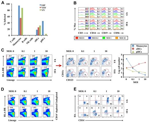 Figure 1. Virus infection of human monocytes induces differentiation into DCs. (A) Human PBMCs were infected for 6 hours with the indicated virus at a multiplicity of infection (MOI) of 10, and surface expression of IAV hemagglutinin or virus-encoded enhanced green fluorescent protein on CD3+ T cells, CD14+ monocytes, CD19+ B cells, CD56+ NK cells, lineage-negative (CD3/14/19/56)−HLA-DR+CD11c+CD123− cDCs, or lineage-negative HLA-DR+CD11c−CD123+ pDCs was determined by flow cytometry. The results represent 1 of 2 separate experiments with similar results. (B) Flow cytometric analysis of T/monocyte/B/NK cells 6 or 18 hours after IAV infection at indicated MOI. % Max indicates percent of maximum. (C) Effect of IAV infection at indicated MOI 6 or 18 hours after infection on lineage-negative HLA-DR+ DC population (red box; left panel) or on cDC (circled CD123lowCD11c+ population)/pDC (circled CD123+CD11c− population) populations (middle panel), and the cell number of monocytes, cDCs, and pDCs in 5 × 105 PBMCs 18 hours after IAV infection (right panel). (D) CD14+ monocyte-depleted PBMCs were infected for 18 hours with IAV and then stained with lineage markers and HLA-DR. The results in panels B through D are representative examples of 5 independent experiments. (E) Purified CD14+ monocytes were infected for 6 and 18 hours with IAV and then stained with anti-hemagglutinin antibody. The results are representative examples of 3 independent experiments.
