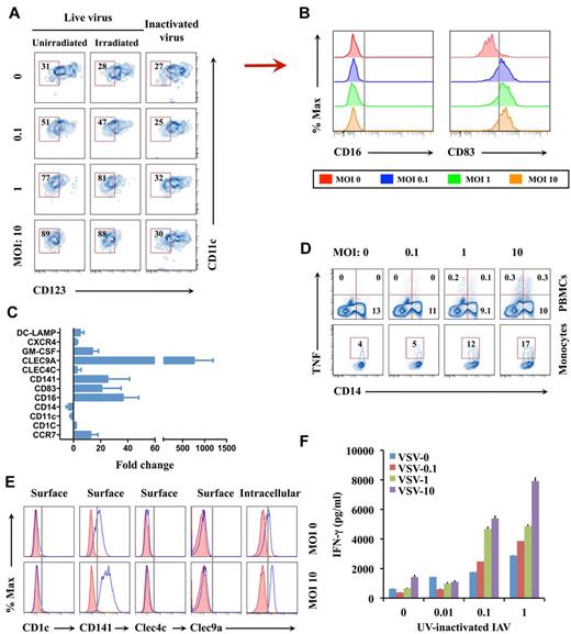 Figure 2. Characterizing virus-induced DCs. (A) Monocytes irradiated with 2000 rad of γ-radiation or nonirradiated cells were infected with live or UV-inactivated IAV. At 18 hours after infection, CD11c+CD123− cDCs instead of CD123+ monocytes or pDCs among the CD14−HLA-DR+ DC population were assessed by flow cytometry. (B) Surface CD16 or CD83 expression on the cDCs in panel A from infected and uninfected samples at 18 hours after IAV infection. The results represent 1 of 3 separate experiments. (C) Quantitative real-time PCR analysis of monocyte/DC-related markers in monocytes after 6 hours after IAV infection at a MOI of 10 vs uninfected sample. The results represent the average of 5 subject samples. (D) Intracellular TNF production by IAV-infected PBMCs or monocytes at 6 hours after infection. (E) Levels of surface CD1c, CD141, CLEC4C, and CLEC9A, as well as intracellular CLEC9A, by IAV-infected monocytes at 18 hours after infection. Shaded and open histograms, respectively, represent isotype and specific antibody staining. (F) Monocytes infected for 6 hours with different doses of VSV were cocultured for 7 days with purified CD4+ T cells from the same donor at a monocyte/T-cell ratio of 1:5 in the presence of varied concentrations of UV-inactivated IAV antigen. IFN-γ levels in supernatants of the cocultures were determined by ELISA. Data in panels D and F are representative of 3 separate experiments. % Max indicates percent of maximum.