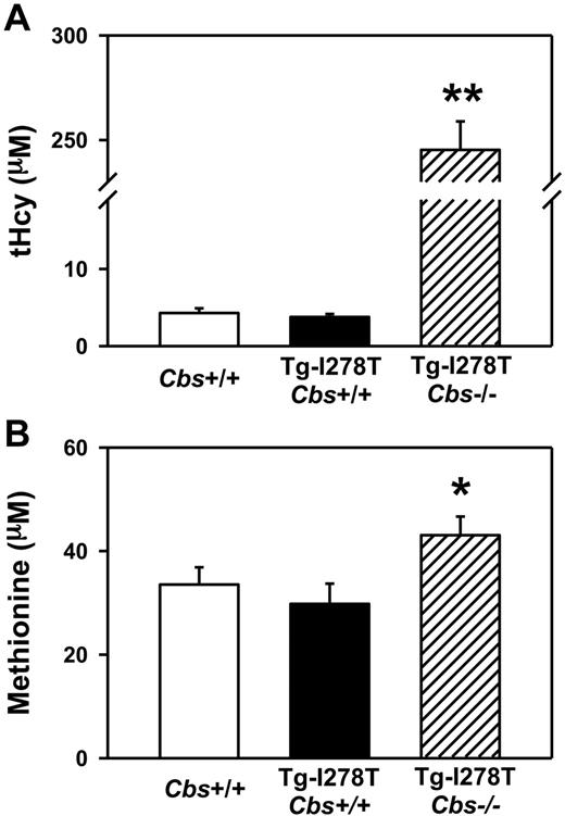 Figure 1. Plasma tHcy levels are elevated with CBS deficiency. Plasma levels of (A) tHcy and (B) methionine were measured in 20-week-old mice (n = 20-30 mice per group). Values are mean ± SEM; **P < .001 compared with Cbs+/+ and Tg-I278T Cbs+/+ mice and *P < .05 compared with Tg-I278T Cbs+/+ mice.