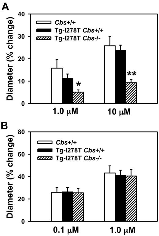 Figure 2. CBS deficiency promotes endothelial dysfunction. Dilatation of cerebral arterioles to (A) acetylcholine or (B) nitroprusside was measured in 20-week-old mice (n = 10-16 mice per group). Values are mean ± SEM; *P < .05, and **P < .001 compared with Cbs+/+ and Tg-I278T Cbs+/+ mice at the same dose of acetylcholine.