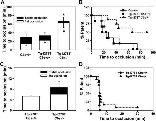 Figure 3. CBS deficiency fails to increase susceptibility to carotid artery thrombosis. Time to first occlusion or stable occlusion in the carotid artery after (A) photochemical injury or (C) chemical injury was measured in 20-week-old mice. (B,D) The percentage of mice with a patent carotid artery (ie, free of stable occlusion) as a function of time after photochemical or chemical injury, respectively. Seven to 12 mice were studied in each group. Values are mean ± SE; *P < .05 compared with Cbs+/+ or Tg-I278T Cbs+/+ mice.