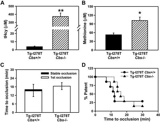 Figure 5. Elevated methionine in young Tg-I278T Cbs−/− mice does not alter risk for microvessel thrombosis. Plasma levels of (A) tHcy and (B) methionine were measured in 3-week-old mice. (C) The time to first occlusion or stable occlusion was examined in mesenteric arterioles after chemical injury. (D) The percentage of mice with a patent mesenteric arteriole as a function of time after chemical injury. Seven mice were studied in each group. Values are mean ± SE; **P < .001 and *P < .01 compared with Tg-I278T Cbs+/+ mice.