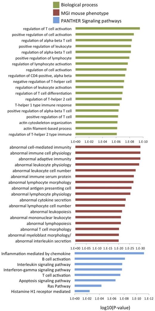 Figure 2. STAT3 binding sites strongly associate with immune-related GO terms. Over-represented GO terms resulting from the analysis of all 1352 STAT3-binding sites with GREAT, showing Biological Process (green), the MGI mouse phenotype (crimson), and the PANTHER signaling pathways (blue).