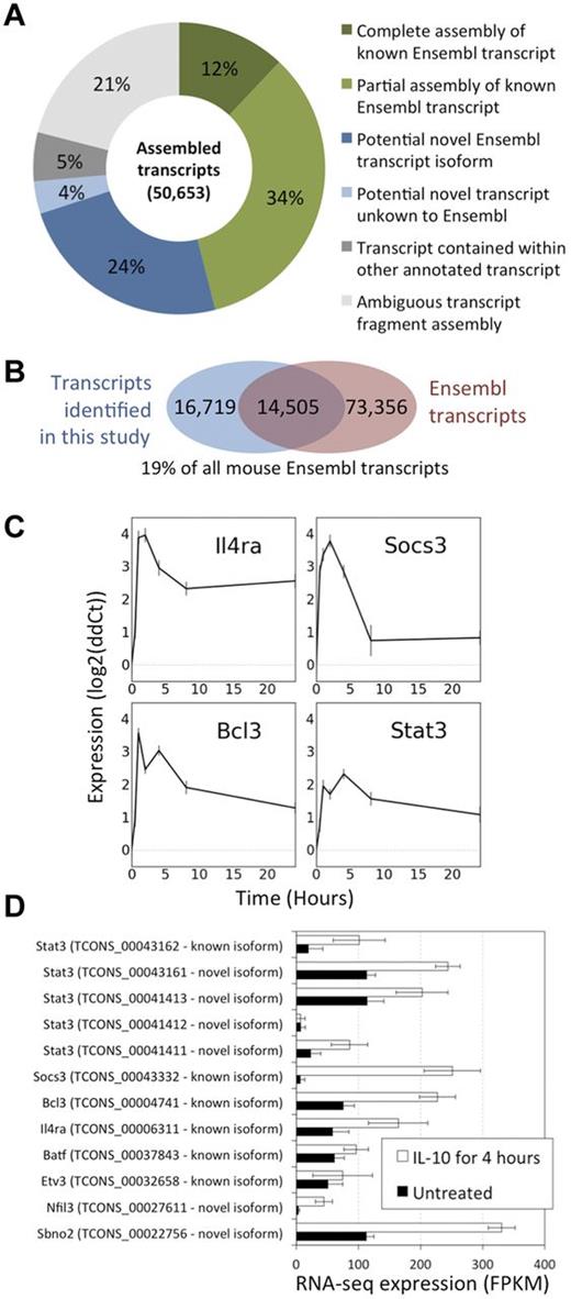 Figure 3. RNA-seq reveals the changes in gene expression in response to IL-10 stimulation. (A) Proportion of de novo assembled transcripts corresponding to known genes, novel isoforms, novel genes, and transcript fragments with an ambiguous mapping. (B) Venn diagram showing the overlap of assembled genes with all transcripts from Ensembl. (C) qRT-PCR results of Stat3, Bcl3, Socs3, and Il4ra. PEC macrophages were treated with IL-10 and samples of RNA were harvested after 0 hours (untreated cells), 30 minutes and 1, 2, 4, 8, and 24 hours in the presence of IL-10. (D) FPKM values of selected transcripts for Il4ra, Bcl3, Socs3, Batf, Etv3, Nfil3, Sbno2, and the 5 assembled isoforms of STAT3 found in the RNA-seq data. Error bars are the lower and upper bounds of the 95% confidence interval.