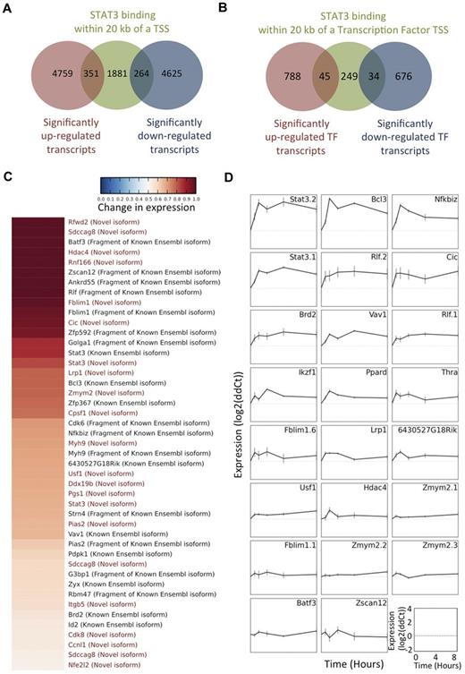 Figure 5. Identification of candidate executors of the AIR by integrating STAT3 ChIP-seq and RNA-seq data. (A) Overlap of STAT3-binding sites within 20 kb of a transcription factor TSS, either up-regulated (red) or down-regulated (blue). (B) STAT3 bound genes (any TSS with a STAT3 binding site within 20 kb are labeled in green). (C) Heatmap showing the up-regulated TFs that have a STAT3 binding site within 20 kb of their TSS. Novel isoforms are marked in red. Fragments or full-length Ensembl transcripts are marked in black. (D) qRT-PCR of 23 TFs up-regulated on IL-10 treatment and with a STAT3 binding site within 20 kb of their TSS. Shown here is a time course of treatment including 0 hours (untreated), 30 minutes, and 1, 2, 4, and 8 hours after treatment. Isoform specific primers were used whenever possible.