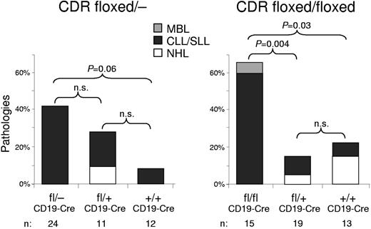 Figure 4. Mice with deletion of CDR develop lymphoproliferations. Percentages of B-lymphoid pathologies observed in 15- to 18-month-old mice of the CDRfl/−CD19-Cre and CDRfl/flCD19-Cre cohorts. The percentages of MBL, CLL/small cell lymphocytic leukemia (SLL), and non-Hodgkin lymphoma (NHL) in each genotype are color coded. P values (χ2 test of association) among the genotypes are indicated; n.s. indicates not significant.
